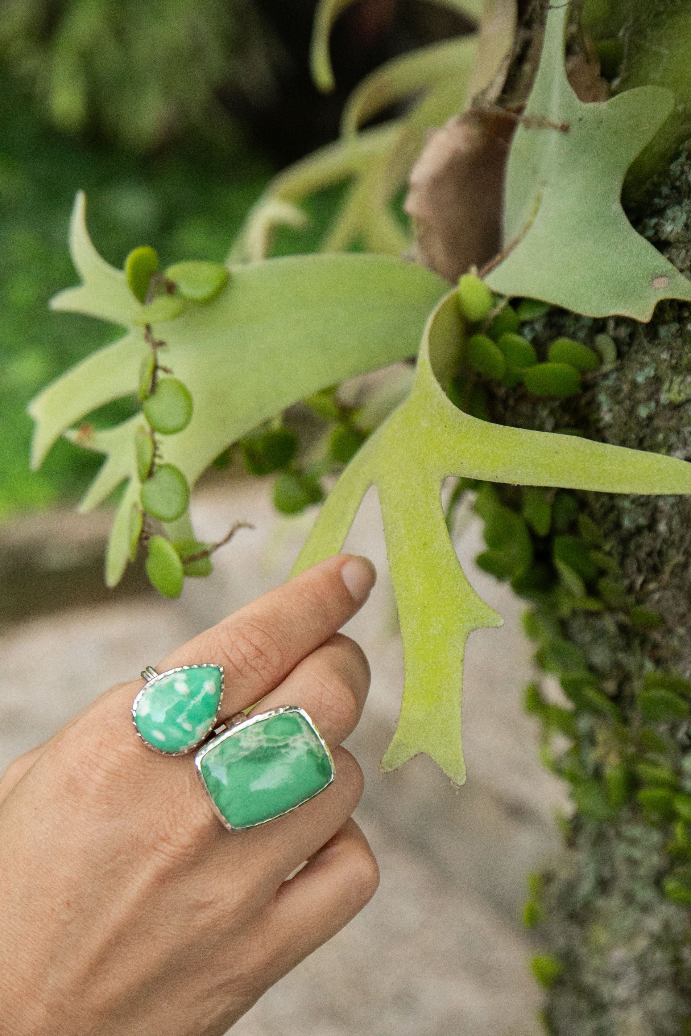 Ring Aloe Variscite in sterling silver top size 8.5