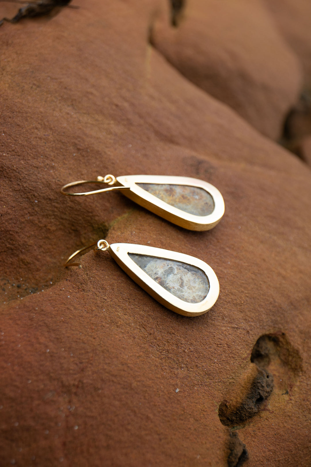 Statement Fossil Coral Earrings in Gold Plated Brushed Sterling Silver