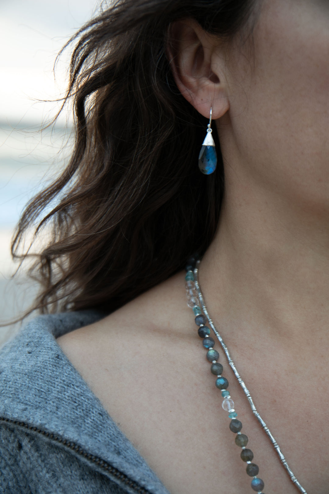 Faceted Labradorite Earrings set in Brushed Sterling Silver