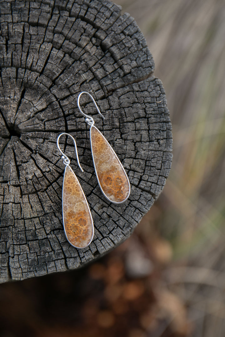 Statement Fossil Coral Earrings in Brushed Sterling Silver