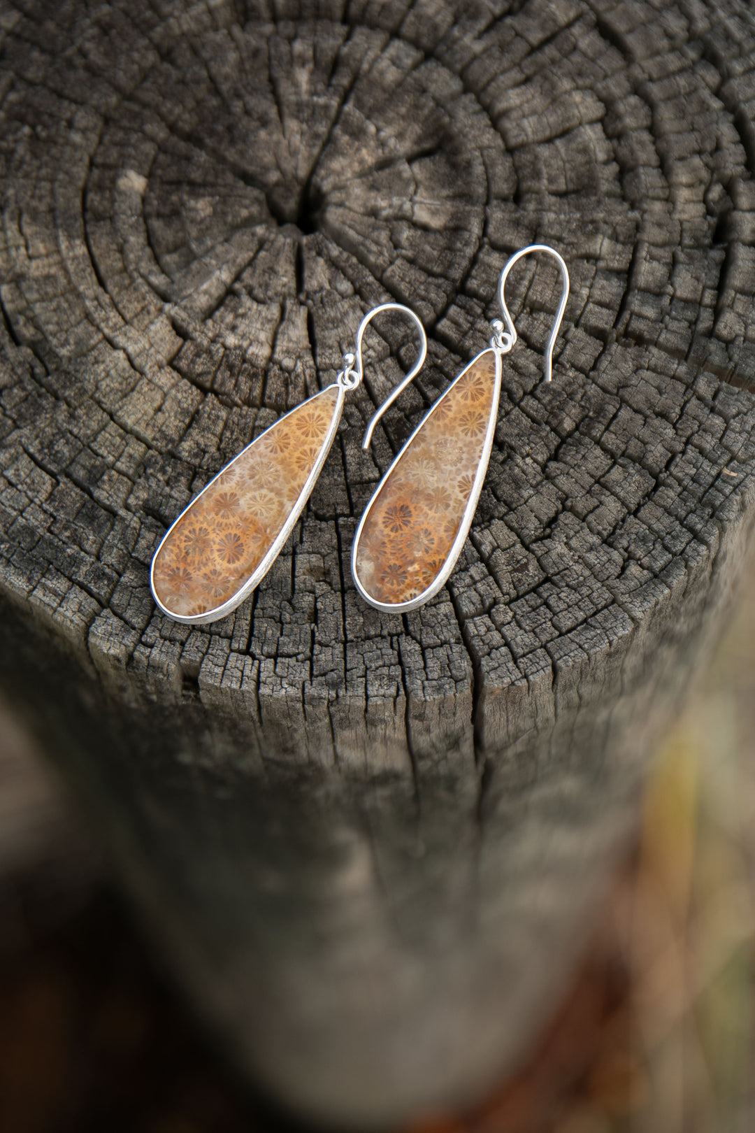 Statement Fossil Coral Earrings in Brushed Sterling Silver