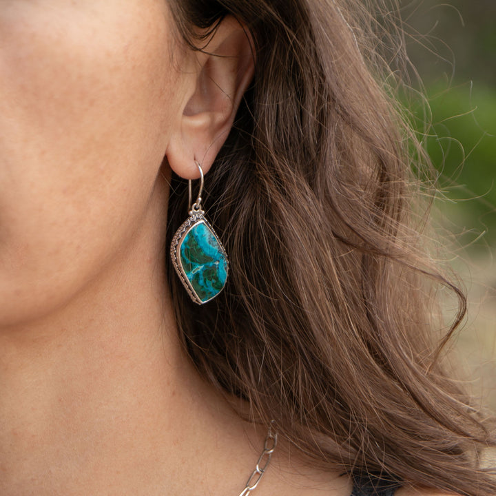 Malachite in Chrysocolla Earrings in Decorative Sterling Silver