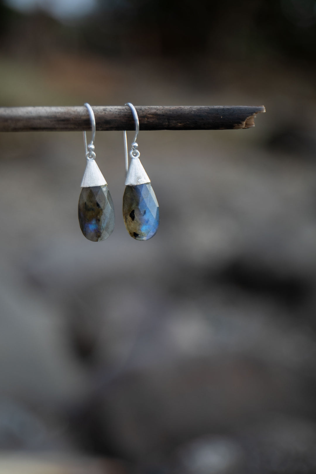 Faceted Labradorite Earrings set in Brushed Sterling Silver