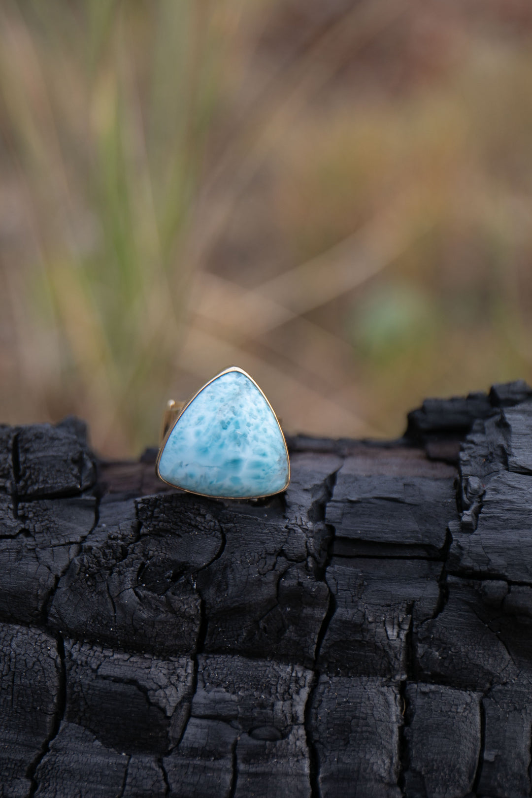 Larimar Ring set in Gold Plated Sterling Silver Band - Adjustable