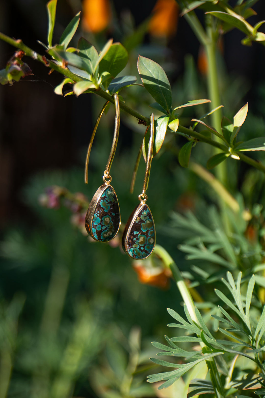 Natural Turquoise Earrings set in Gold Plated Sterling Silver on Long Hooks