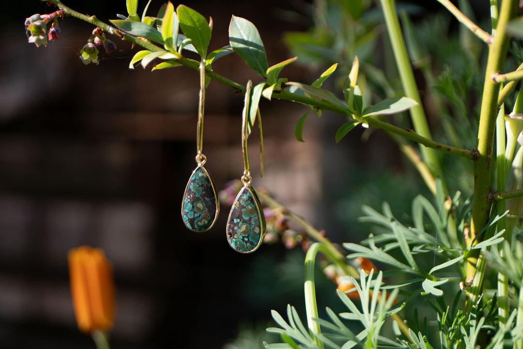 Natural Turquoise Earrings set in Gold Plated Sterling Silver on Long Hooks