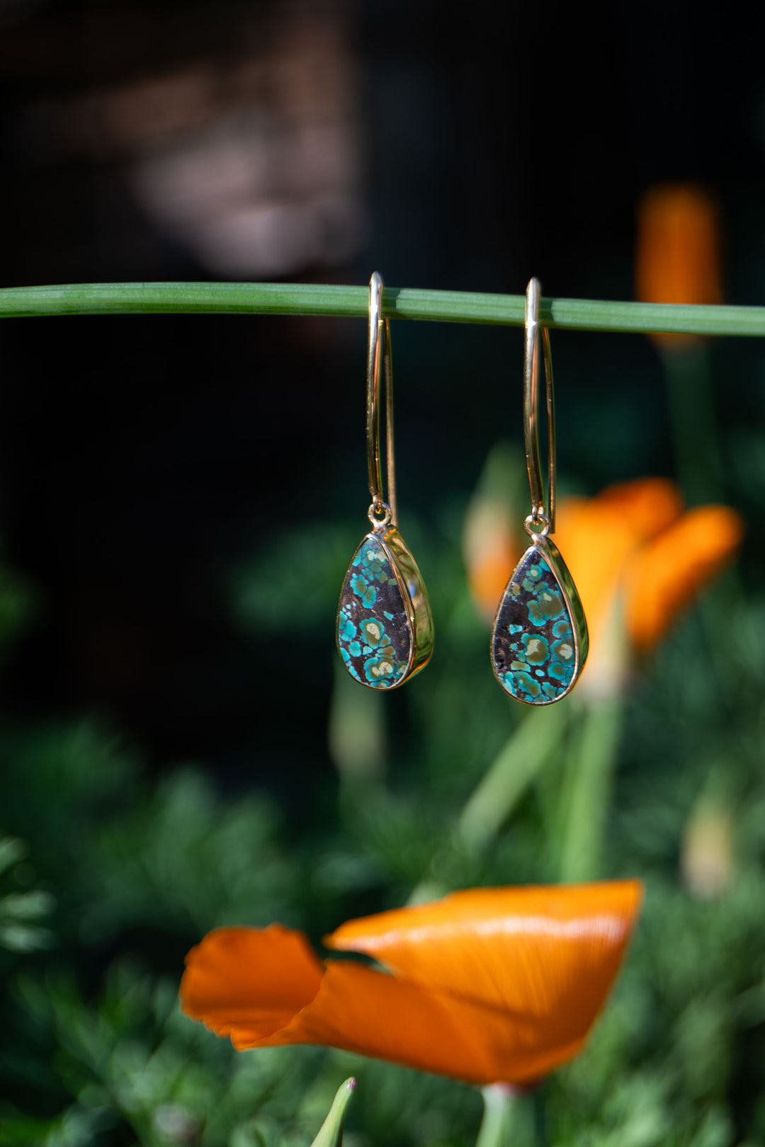 Natural Turquoise Earrings set in Gold Plated Sterling Silver on Long Hooks