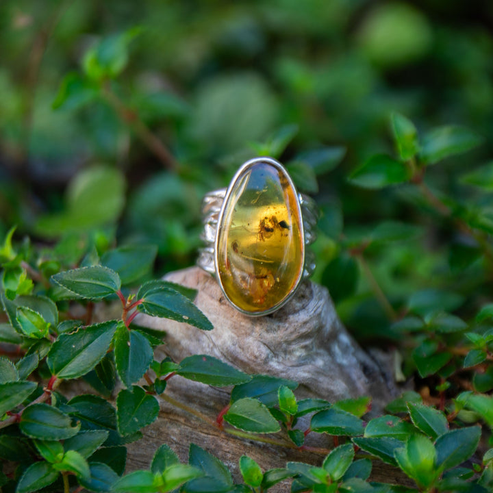 Insect Amber Ring set in Unique Sterling Silver - Size 9 US