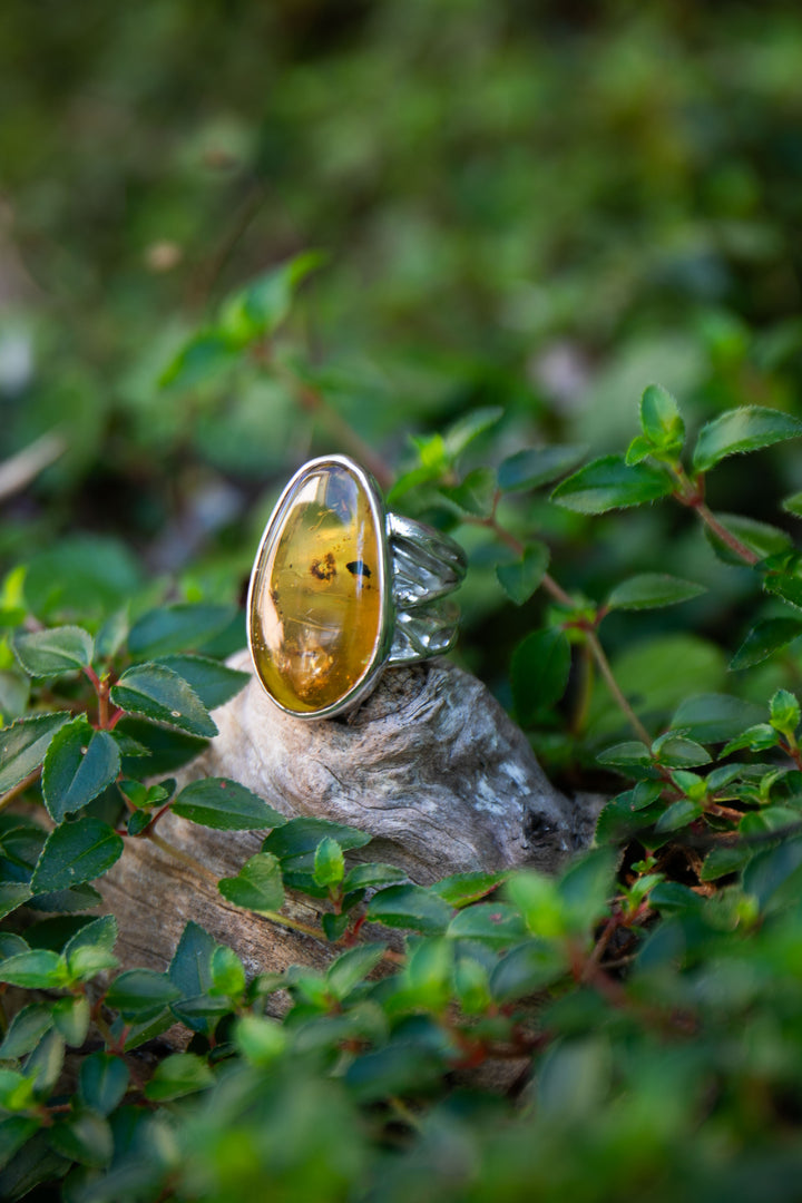 Insect Amber Ring set in Unique Sterling Silver - Size 9 US