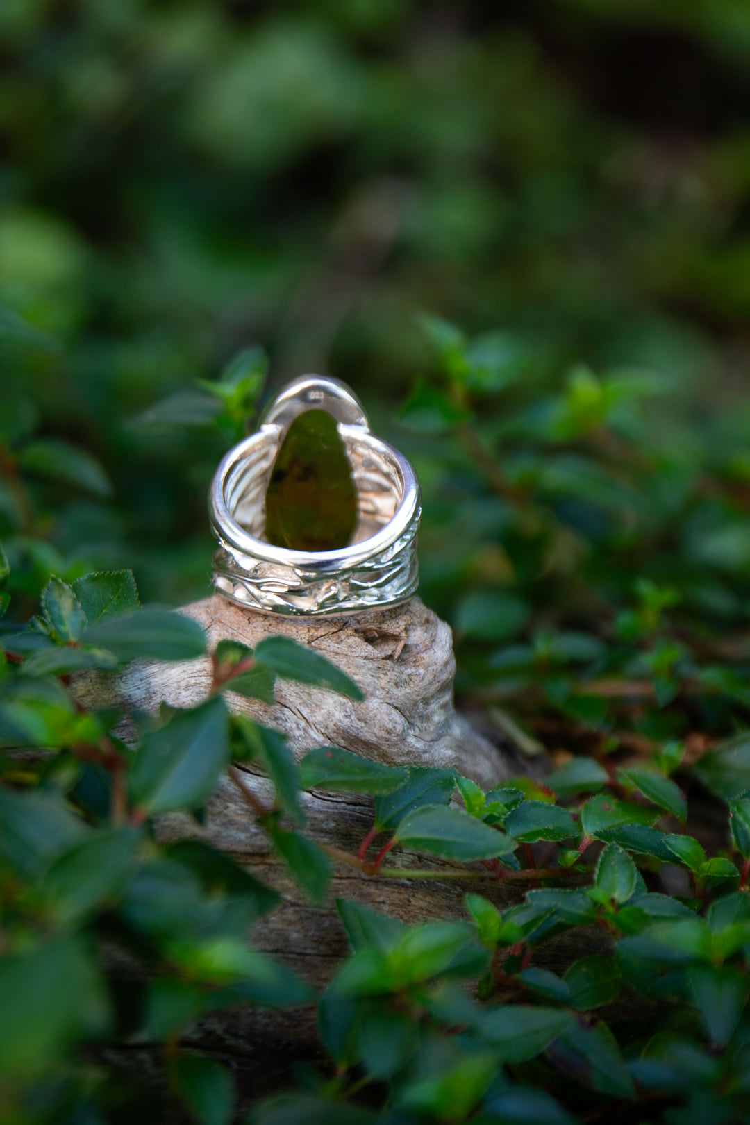 Insect Amber Ring set in Unique Sterling Silver - Size 9 US