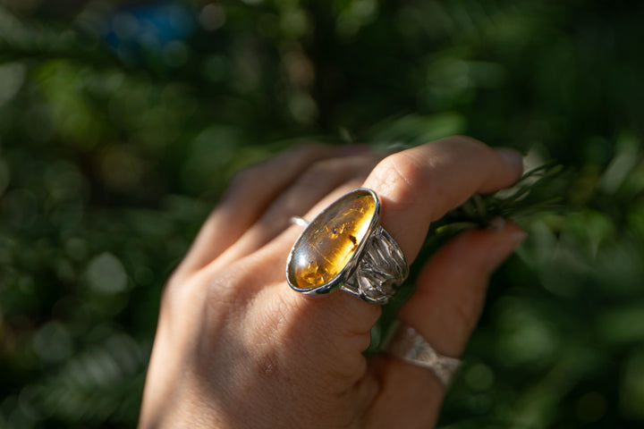 Insect Amber Ring set in Unique Sterling Silver - Size 9 US