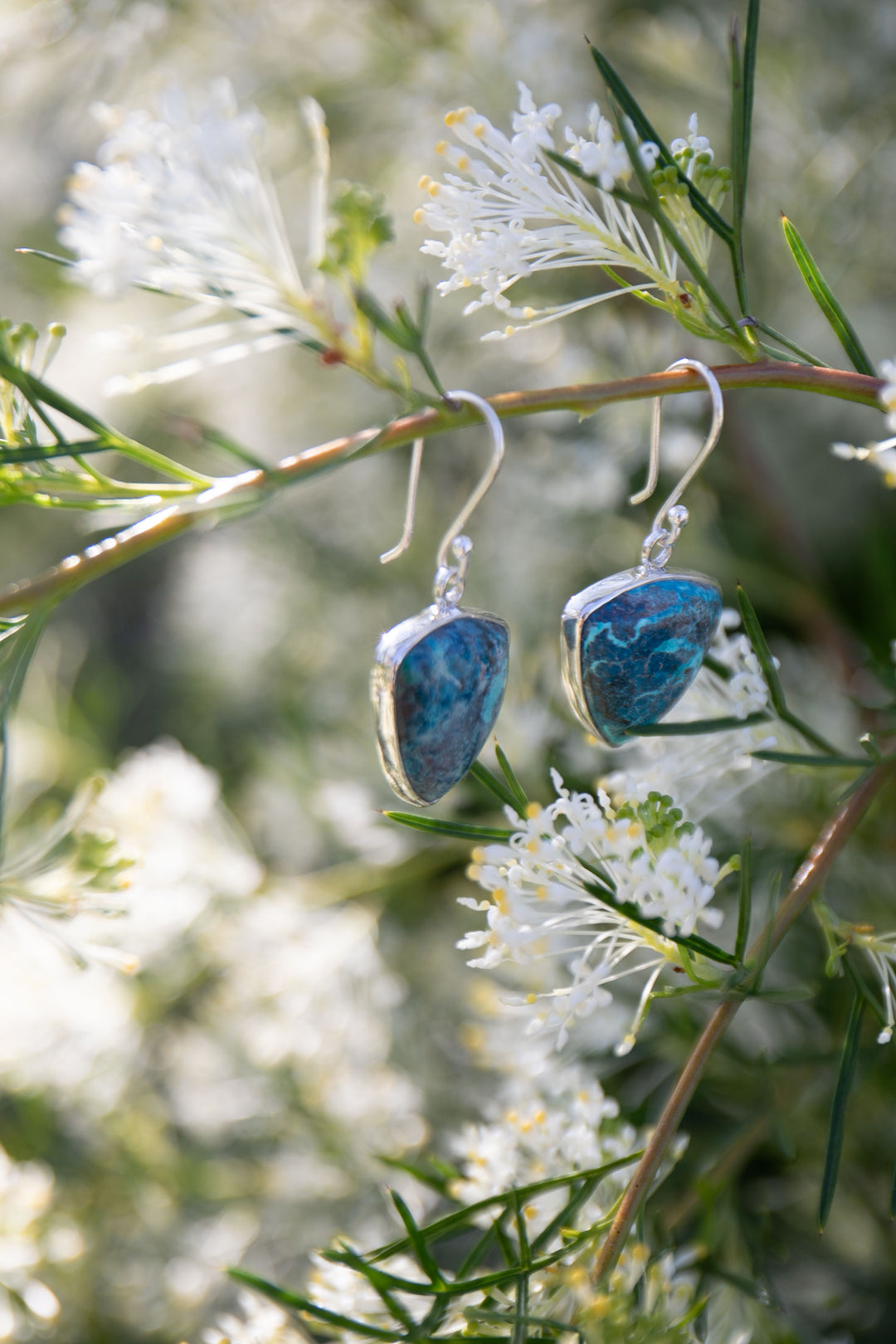 Shattuckite Earrings set in Sterling Silver