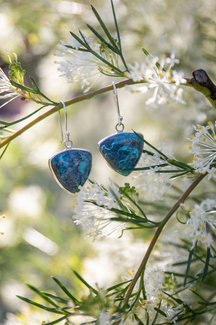 Shattuckite Earrings set in Sterling Silver
