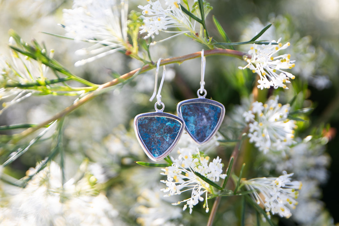 Shattuckite Earrings set in Sterling Silver
