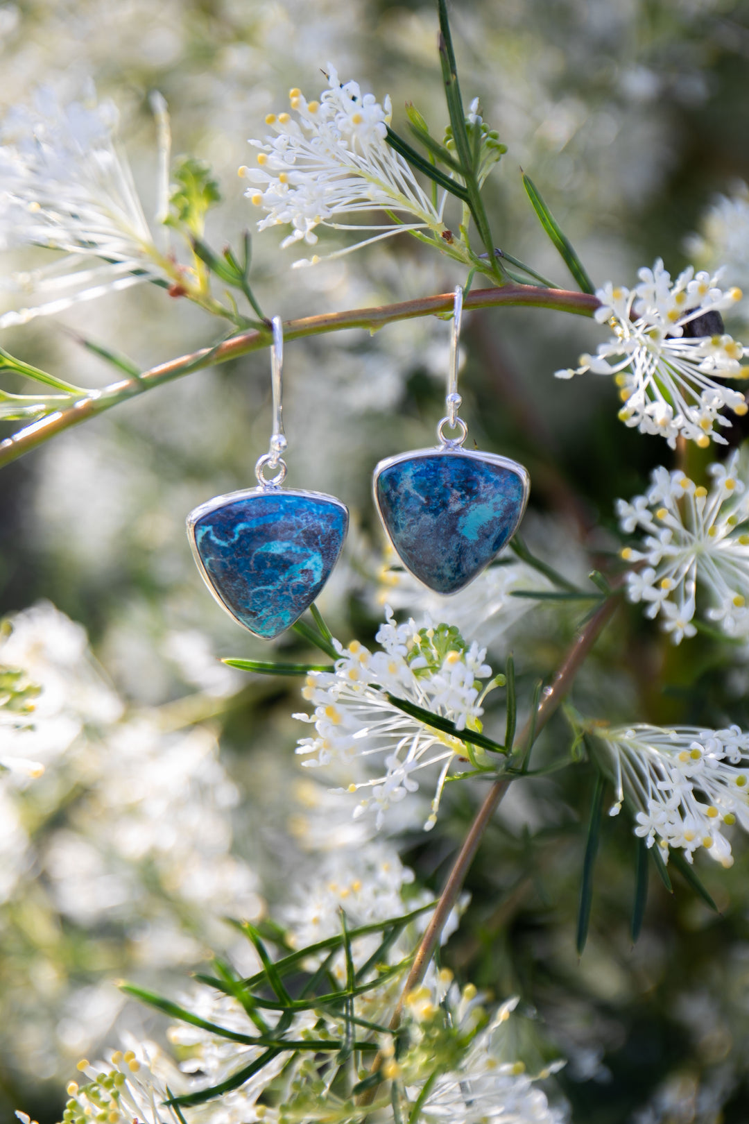 Shattuckite Earrings set in Sterling Silver