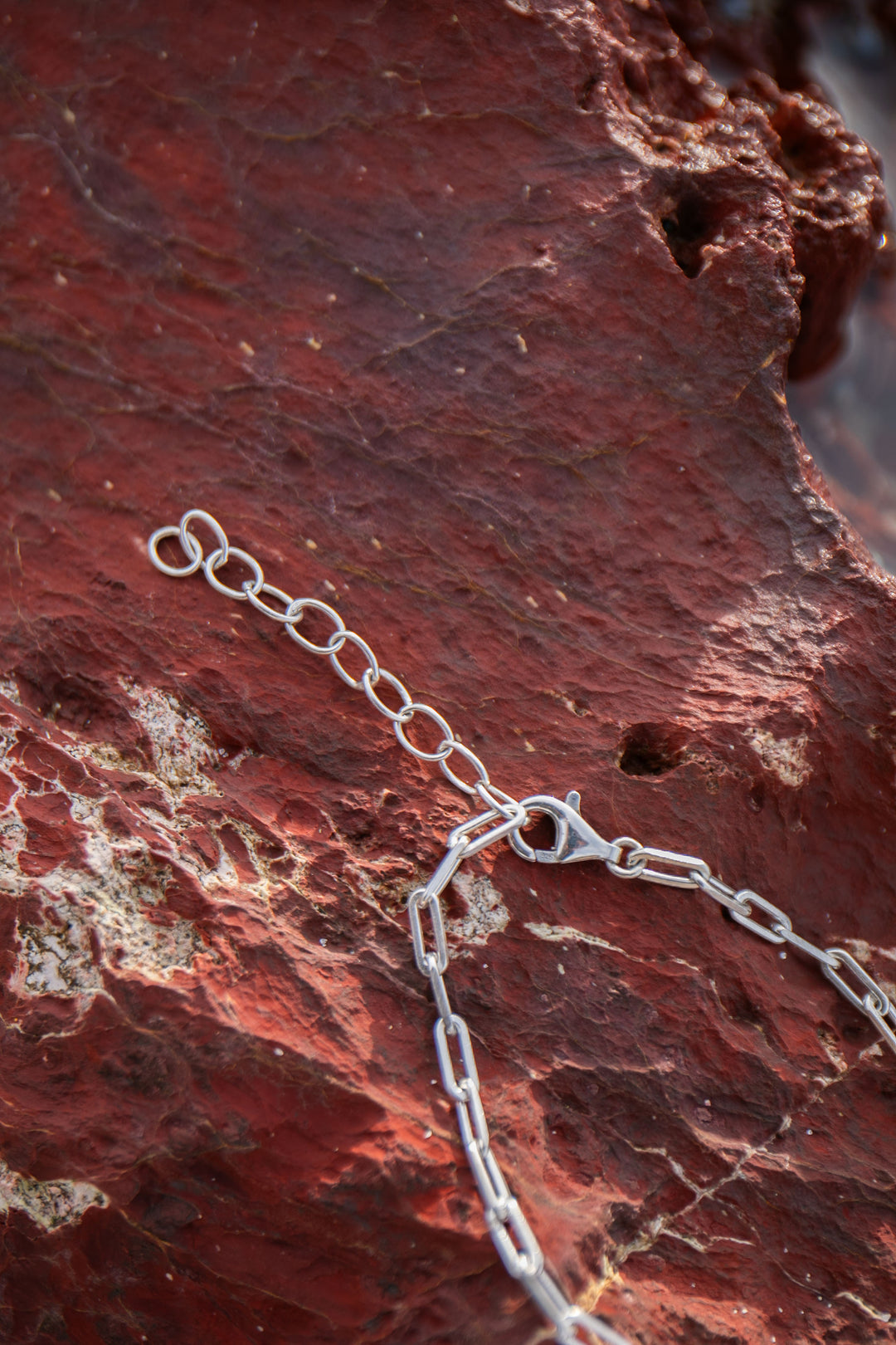 Statement Dendritic Agate Pendant set on Sterling Silver Paperclip Chain