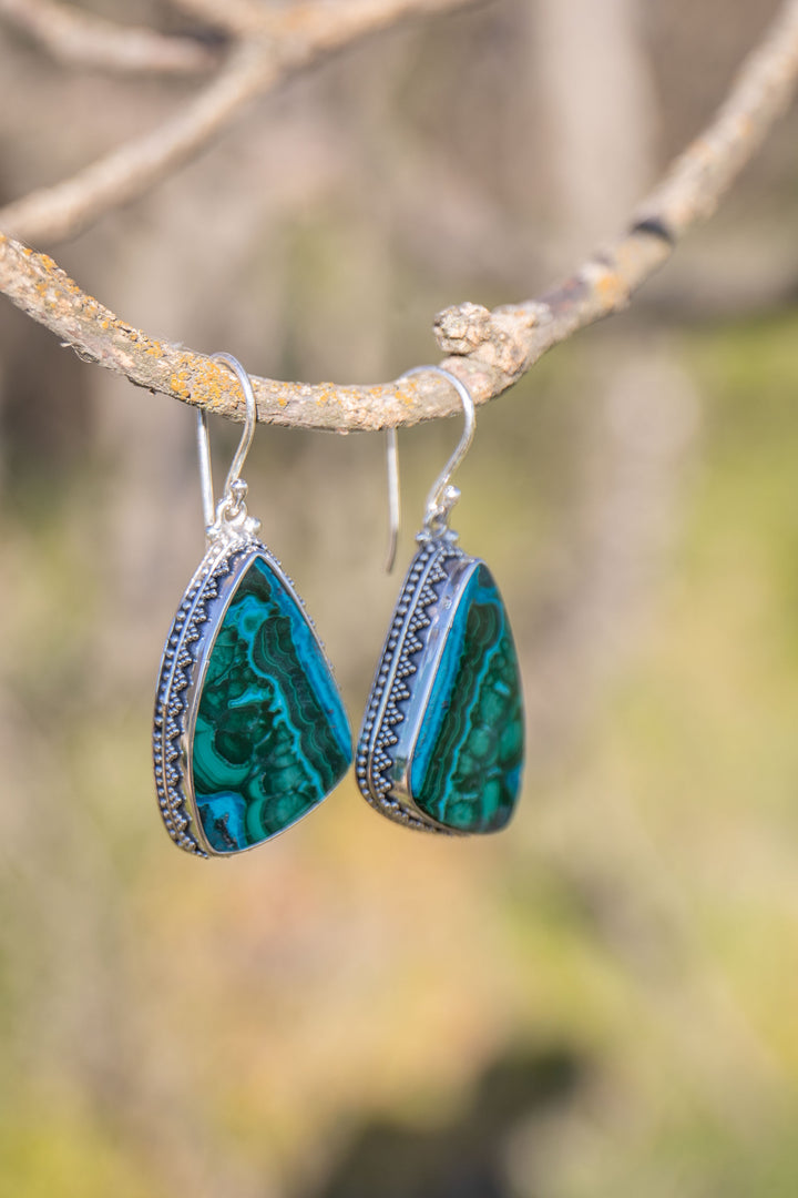 Malachite in Chrysocolla Earrings in Decorative Sterling Silver