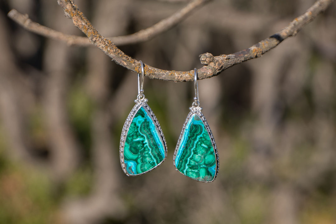 Malachite in Chrysocolla Earrings in Decorative Sterling Silver