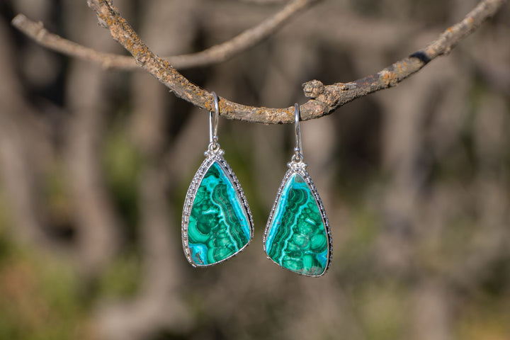 Malachite in Chrysocolla Earrings in Decorative Sterling Silver