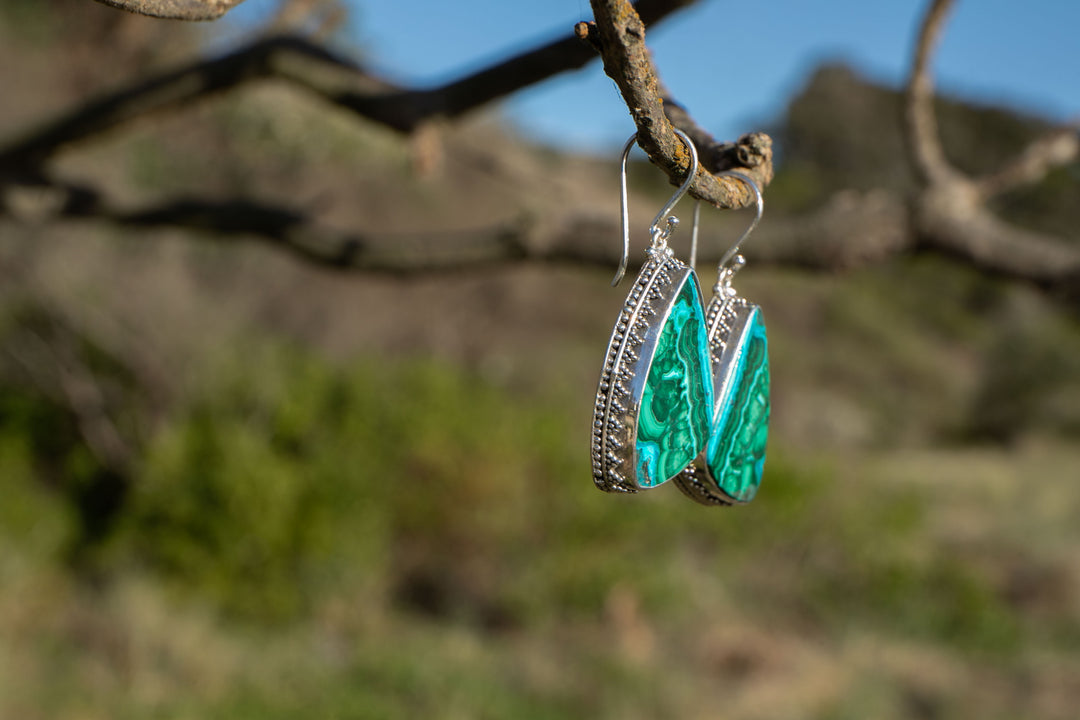 Malachite in Chrysocolla Earrings in Decorative Sterling Silver