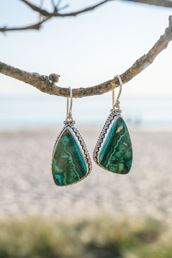 Malachite in Chrysocolla Earrings in Decorative Sterling Silver