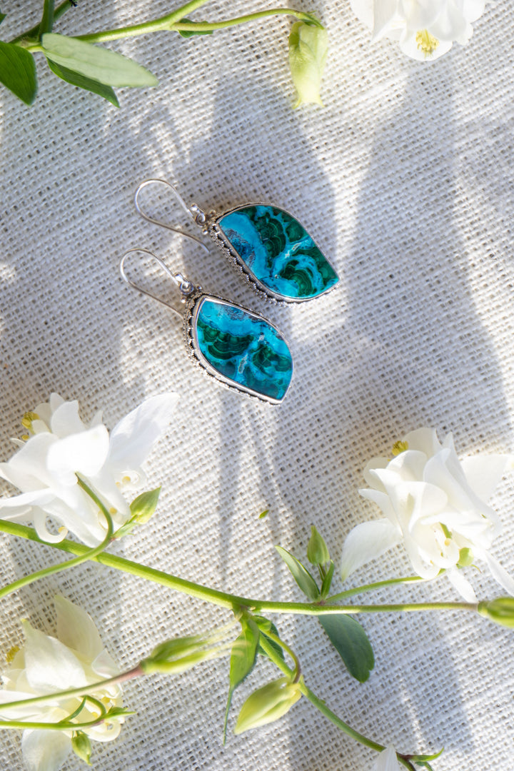 Malachite in Chrysocolla Earrings in Decorative Sterling Silver