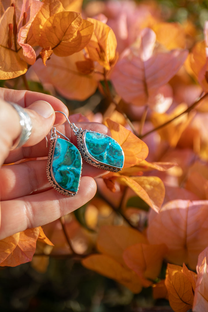 Malachite in Chrysocolla Earrings in Decorative Sterling Silver