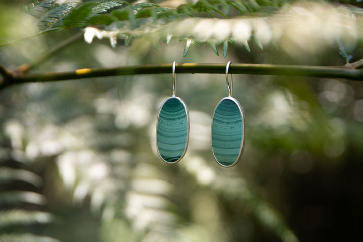 Malachite Earrings in Brushed Sterling Silver Setting