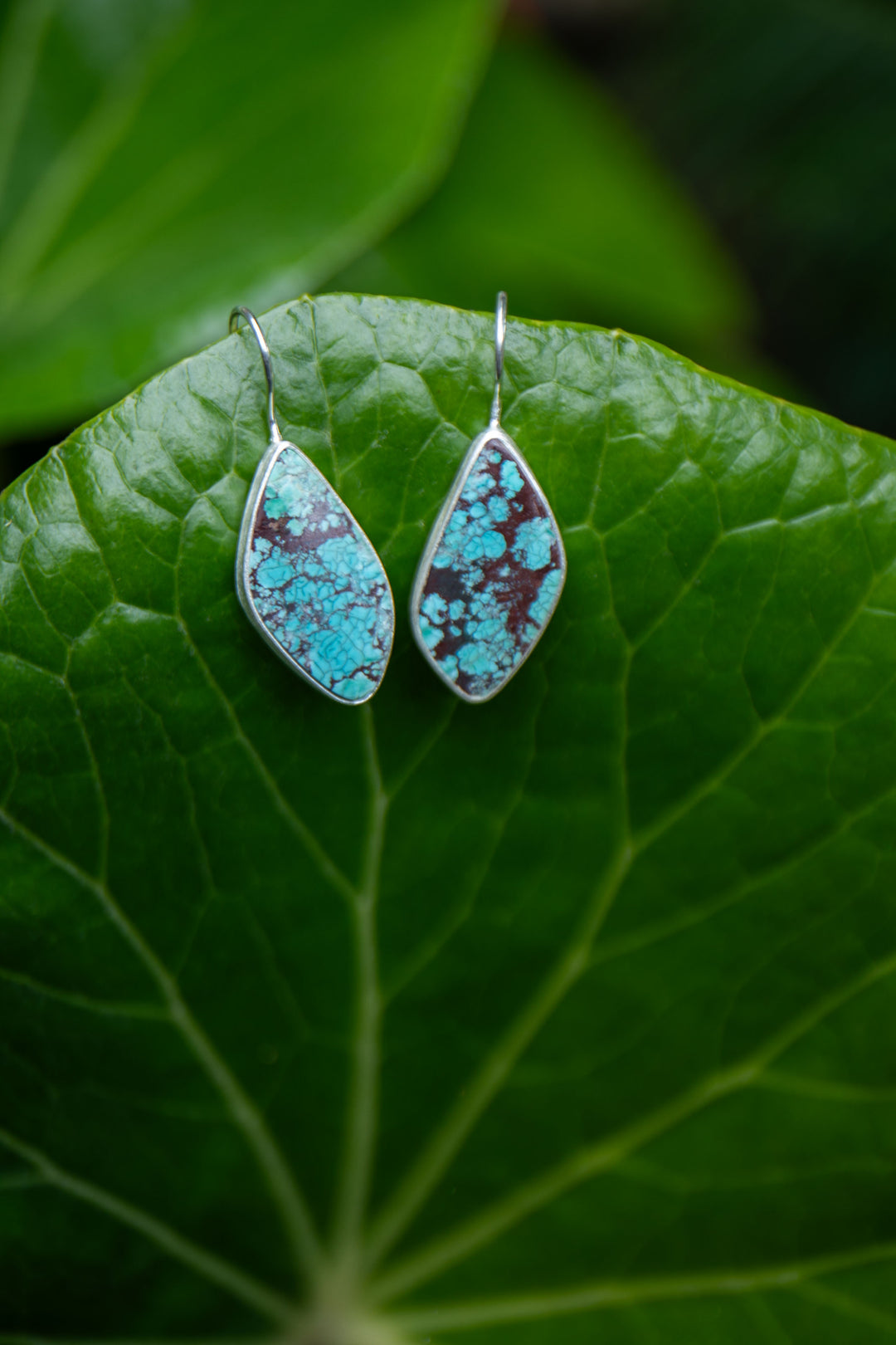 Genuine Turquoise Earrings set in Brushed Sterling Silver