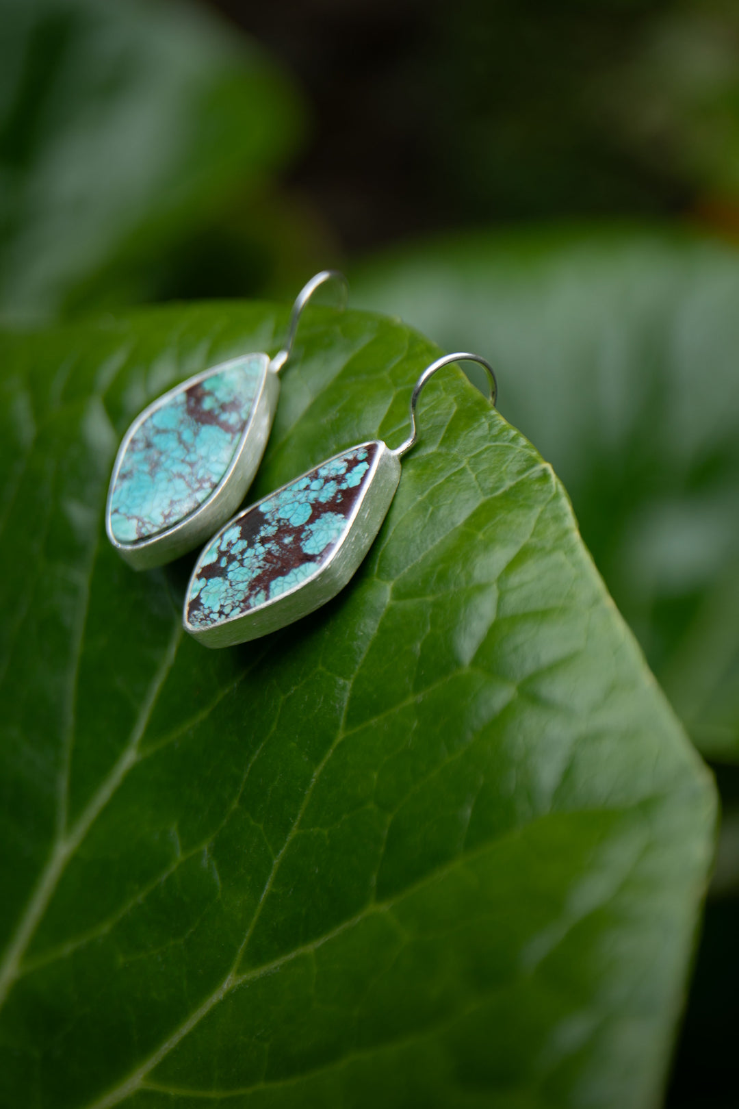 Genuine Turquoise Earrings set in Brushed Sterling Silver