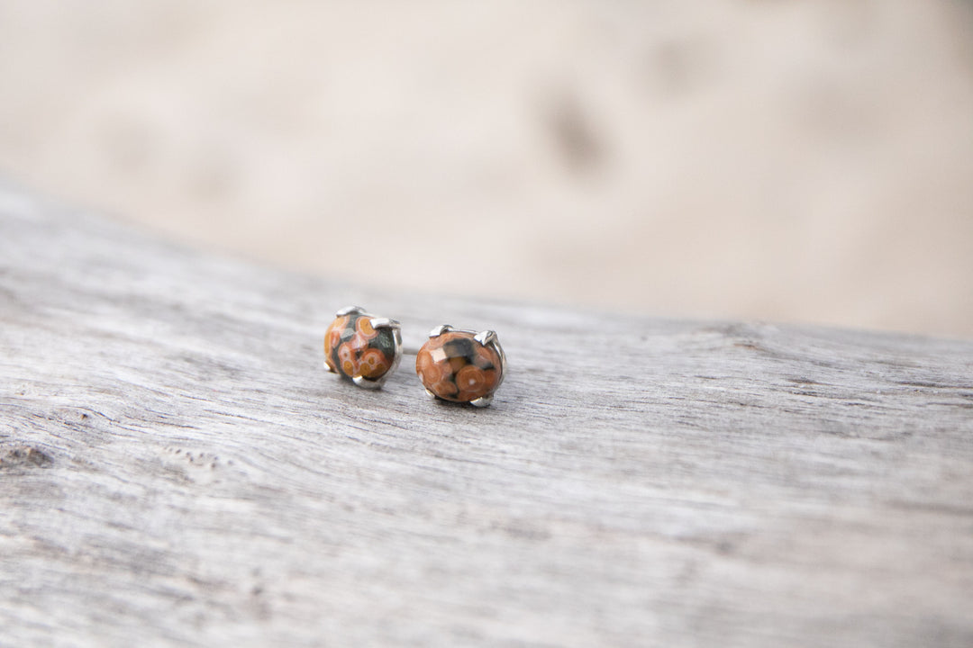 Brown Ocean Jasper Stud Earrings in Claw Sterling Silver Setting