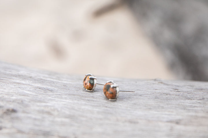 Brown Ocean Jasper Stud Earrings in Claw Sterling Silver Setting