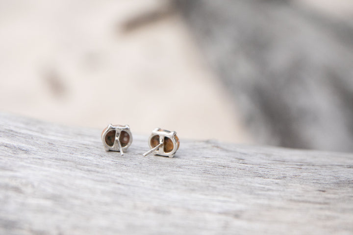 Brown Ocean Jasper Stud Earrings in Claw Sterling Silver Setting