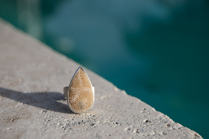Fossil Coral Ring in Brushed Sterling Silver - Size 8 US
