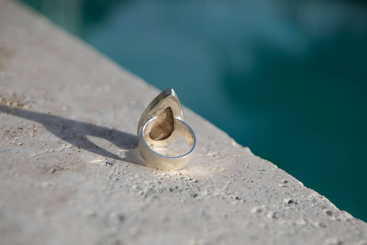 Fossil Coral Ring in Brushed Sterling Silver - Size 8 US