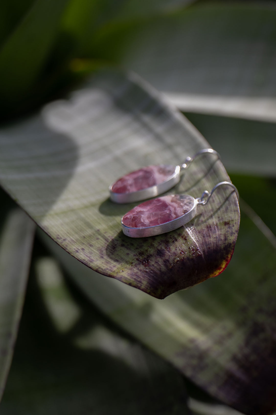 Rhodochrosite Earrings in Brushed Sterling Silver