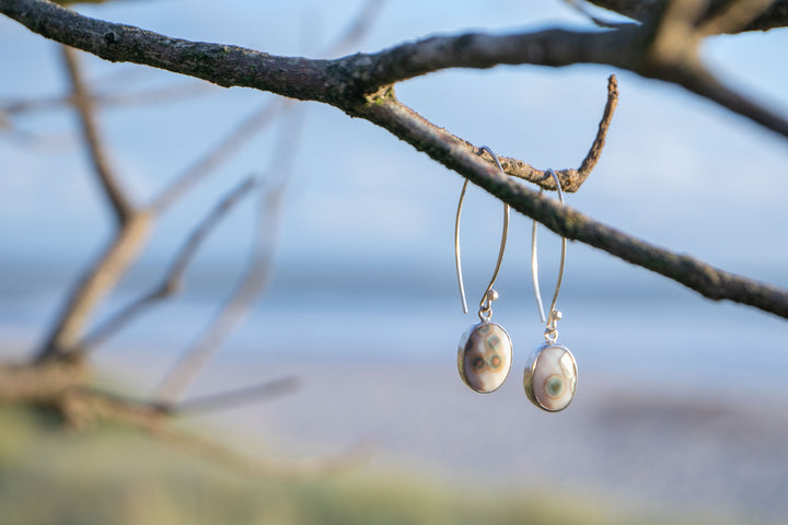 Ocean Jasper on Long Hook Earrings set in 92.5% Sterling Silver