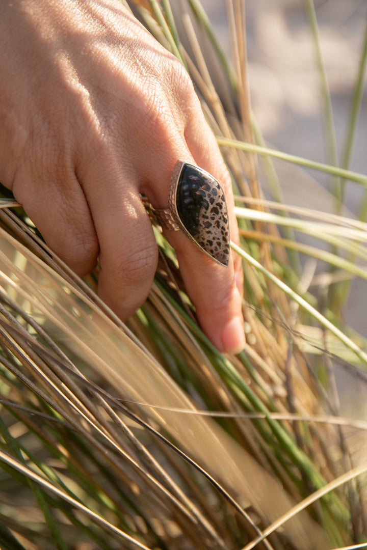 Palm Root Fossil Ring in Beaten Sterling Silver - Adjustable