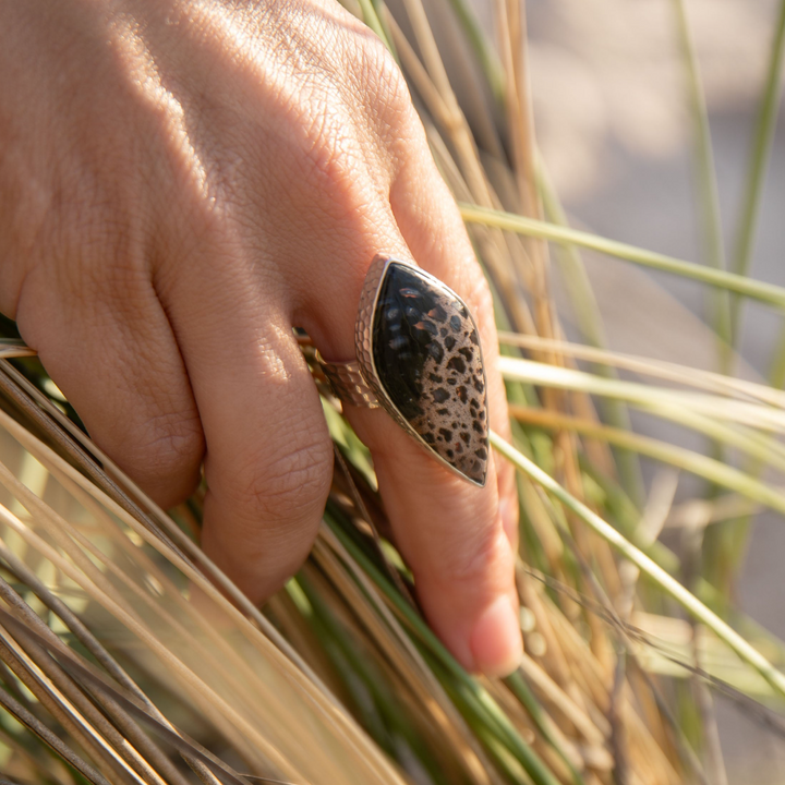 Palm Root Fossil Ring in Beaten Sterling Silver - Adjustable