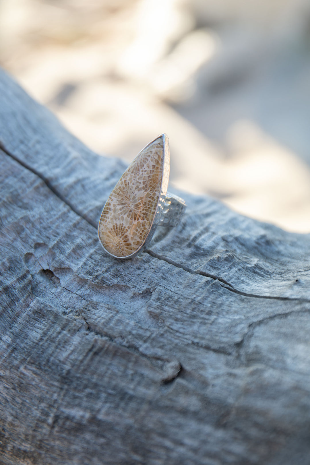 Teardrop Fossil Coral Ring in Beaten Sterling Silver - Adjustable