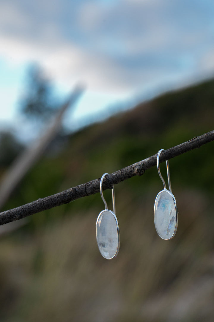 Faceted Oval Rainbow Moonstone Earrings Edged in Sterling Silver