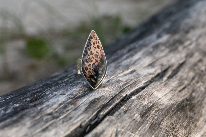 Palm Root Fossil Ring in Beaten Sterling Silver - Adjustable