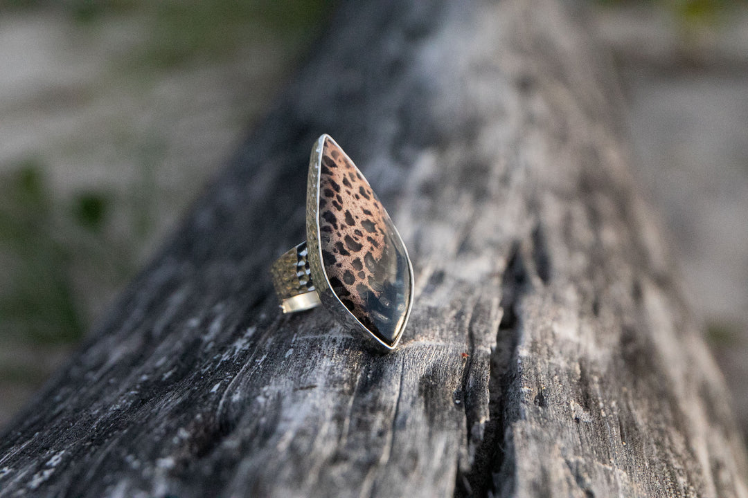 Palm Root Fossil Ring in Beaten Sterling Silver - Adjustable