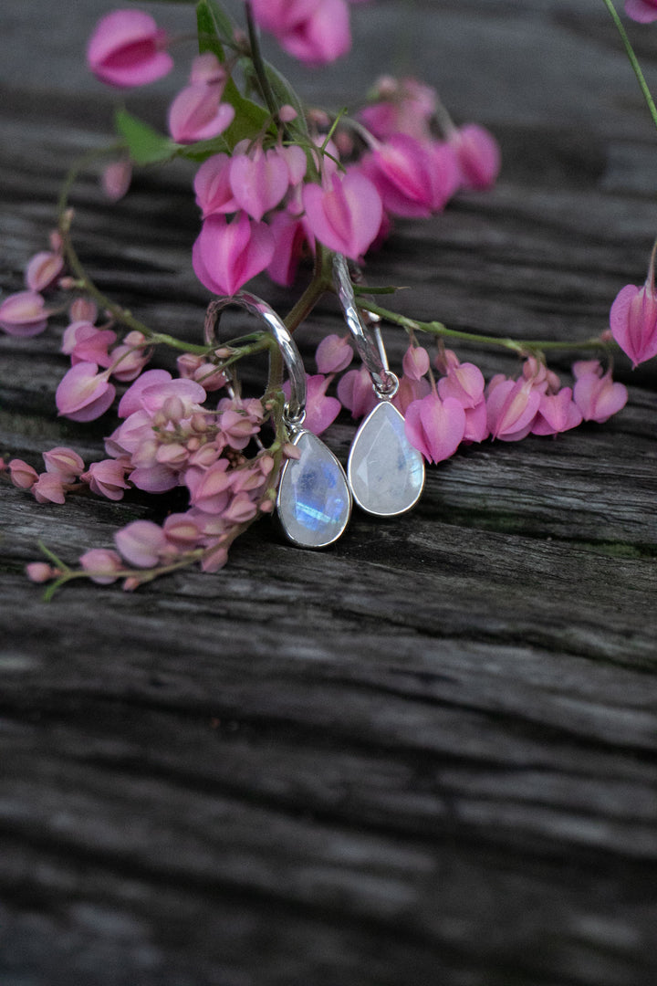 Rainbow Moonstone Hoop Stud Earrings in Sterling Silver Setting