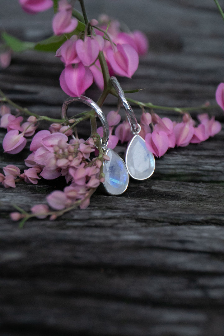 Rainbow Moonstone Hoop Stud Earrings in Sterling Silver Setting