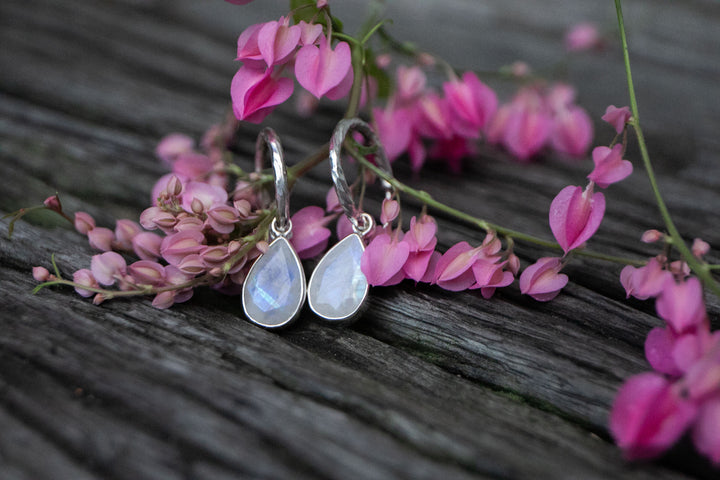 Rainbow Moonstone Hoop Stud Earrings in Sterling Silver Setting