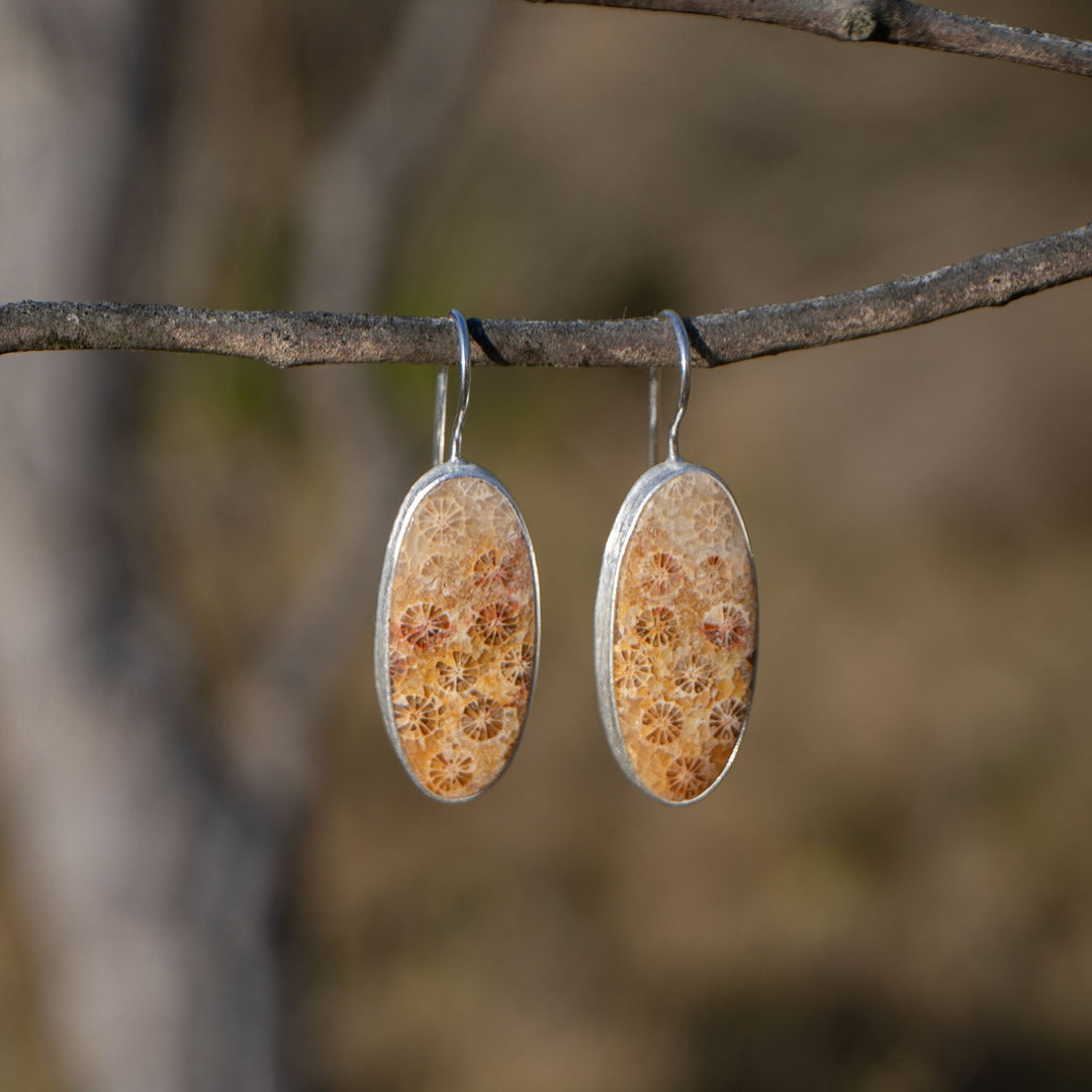 silver-fossil-coral-earrings