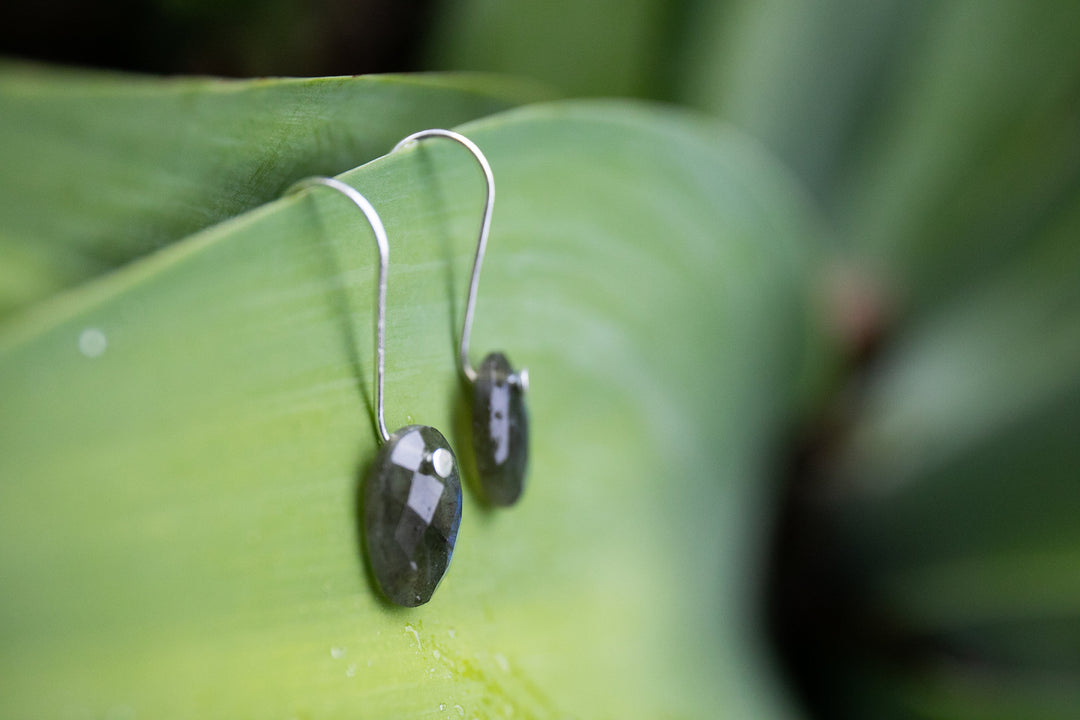 Nude Style Faceted Oval Labradorite Earrings
