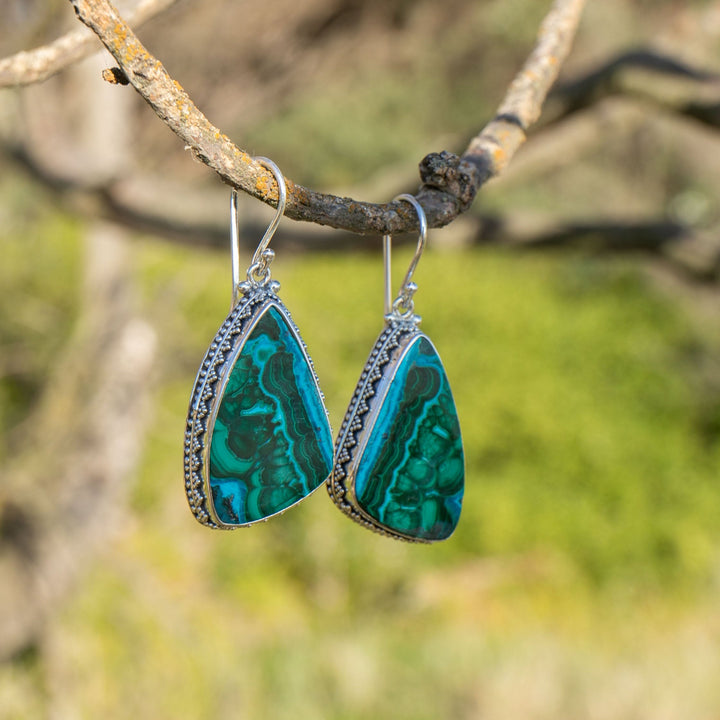 Malachite in Chrysocolla Earrings in Decorative Sterling Silver