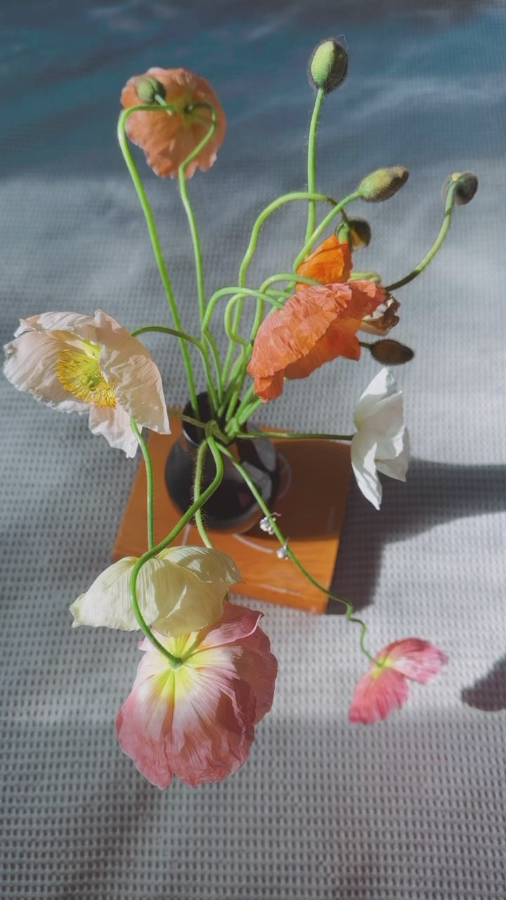 Sweet Silver Flower Earrings with Gold Stamens